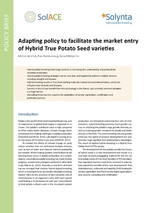 First page of policy brief