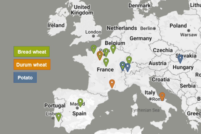 Map where the approximate locations of the field experiments are indicated