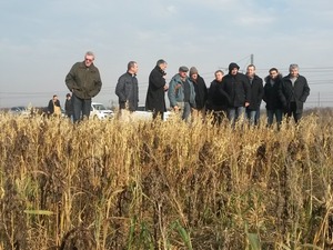 Group of people in cereal field