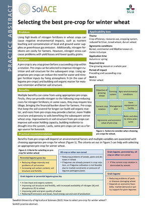 First page of the practice abstract