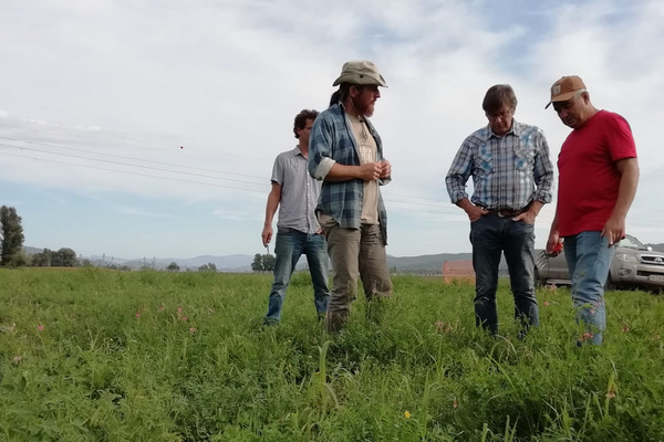 Four people standing on a field