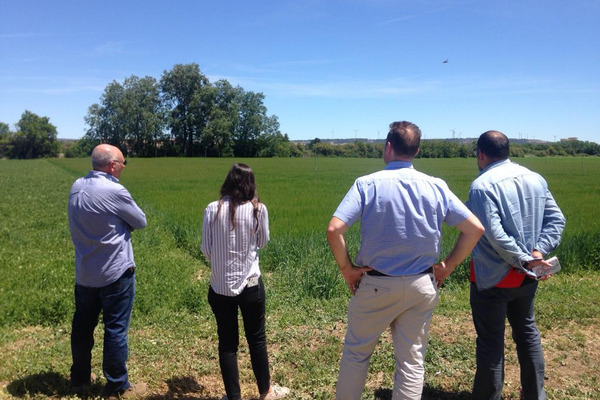 Four people looking at a field