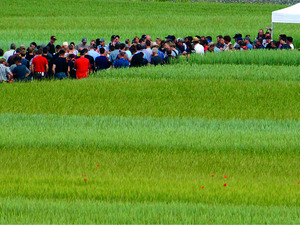 Group of people in trail field