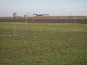 Field