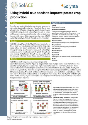 First page of the practice abstract