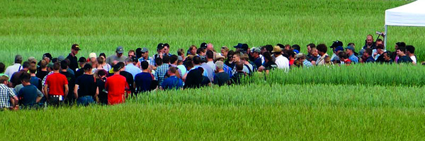 Group of people in field